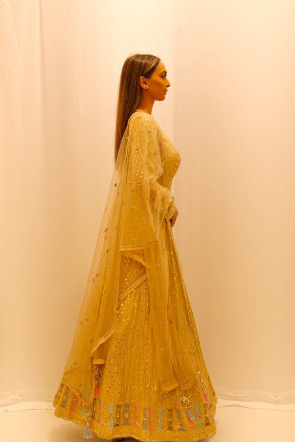CHAMPAGNE ANARKALI