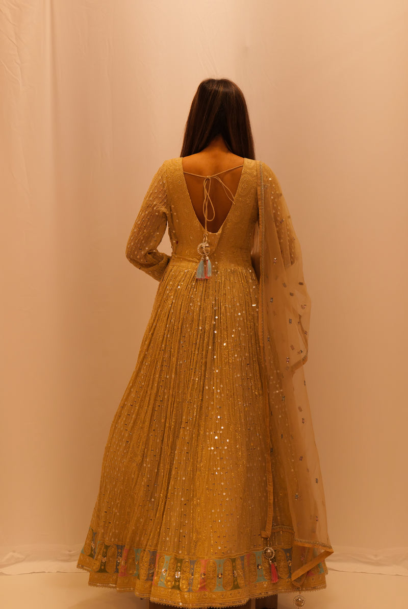 CHAMPAGNE ANARKALI